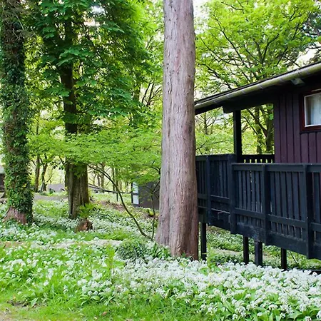 Brockwood Hall *